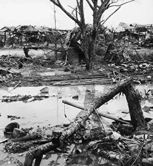 Quang: DESTRUCTION IN TOWN