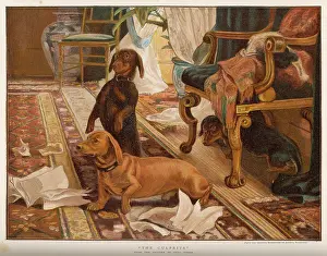 Destructive: DESTRUCTIVE DACHSIES