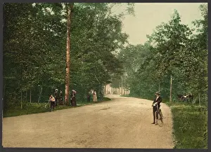 Between1898: Detroit. Belle Isle, Forest Drive