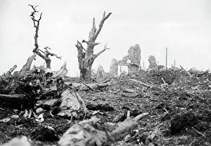 Shattered: Devastation at Gommecourt, France, WW1