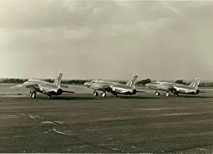 Gnat: Three development batch Folland Fo141 Gnat F1s