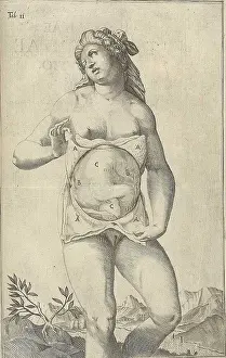 Fetus: Development of the fetus. Female figure ?