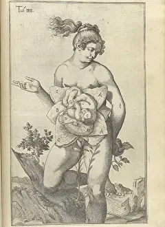 Fetus: Development of the fetus. Female figure ?