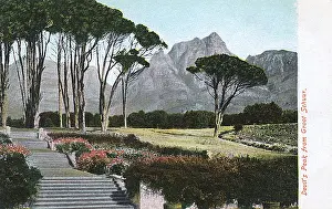 Groot: Devil's Peak from the Gardens of Groot Schuur, Cape Town