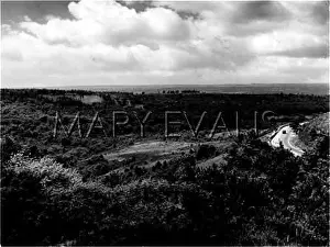 Hindhead: THE DEVIL'S PUNCHBOWL