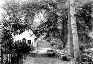 Drews: Devizes, Drews Pond 1899