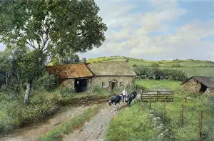 Buckfastleigh: Devon Farm, near Buckfastleigh
