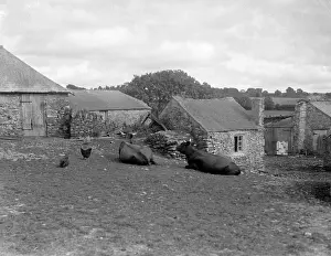 Outbuildings: DEVON FARMYARD