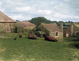 Outbuildings: DEVON FARMYARD