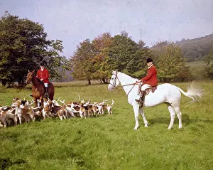 Staghounds: Devon and Somerset huntsmen and staghounds