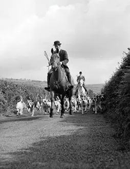 Staghounds: Devon and Somerset staghounds on a country lane