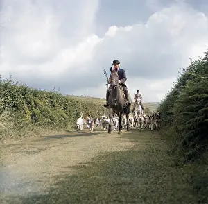 Staghounds: Devon and Somerset staghounds on a country lane