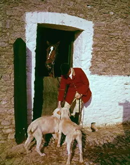 Staghounds: Devon and Somerset Staghounds stables