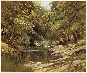 Tavistock: DEVON/TAVY RIVER 1909