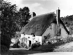 Lustleigh: DEVON THATCHED COTTAGE