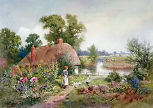 Flourished: Devonshire Cottages