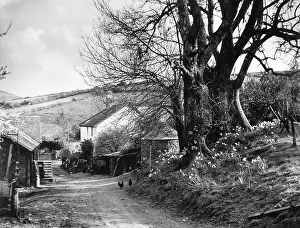Bovey: DEVONSHIRE FARMSTEAD