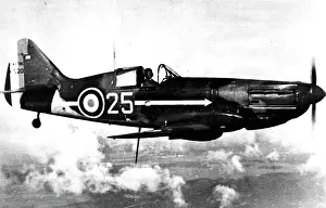 Mainstay: Dewoitine D520 the mainstay of French fighter forces fa
