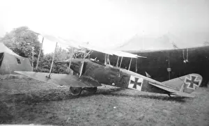 DFW C V German two-seater biplane
