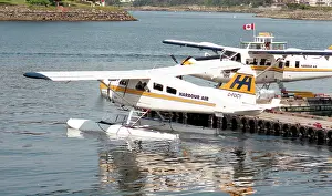 Beaver: DHC-2 Beaver C-FOCY - 204