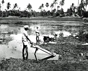 Dhobis washing clothes, India