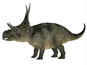 Eatoni: Diabloceratops dinosaur