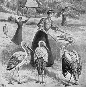 Craze: Diabolo on Hampstead Heath, 1907