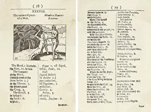 Outward: DIAGRAM OF BODY/1658
