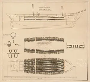 Enslavement: Diagram of a slave ship with its cargo of
