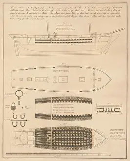 Enslavement: Diagram of a slave ship with its cargo of