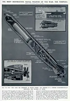 Destructive: Diagram of a torpedo by G. H. Davis