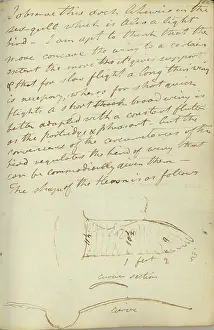 Notebook: Diagrams of a heron's wing
