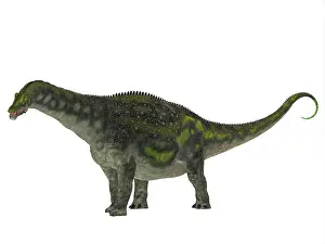 Albian: Diamantinasaurus dinosaur, side profile