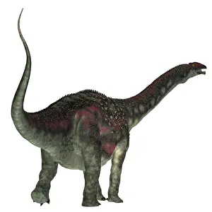 Albian: Diamantinasaurus dinosaur, rear view