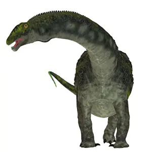 Albian: Diamantinasaurus dinosaur, front view