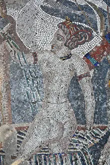 Walili: Diana mosaic, House of the Procession of Venus