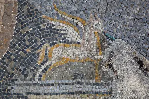 Volubilis: Diana mosaic, House of the Procession of Venus