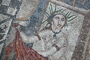 Volubilis: Diana mosaic, House of the Procession of Venus