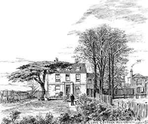 Cedar: DIBDIN'S HOME WANDSWORTH