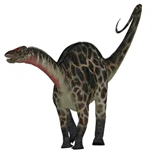 Dicraeosaurus: Dicraeosaurus dinosaur