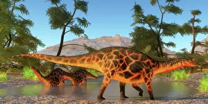 Markings: A Dicraeosaurus dinosaur herd takes a refreshing