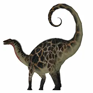Dicraeosaurus: Dicraeosaurus dinosaur, side view