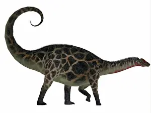 Dicraeosauridae: Dicraeosaurus dinosaur, side view