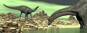 Dicraeosauridae: Two Dicraeosaurus dinosaurs in a desert landscape