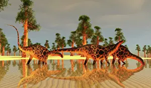Markings: Dicraeosaurus dinosaurs drinking from a lake