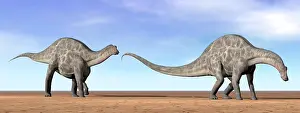 Dicraeosauridae: Two Dicraeosaurus dinosaurs walking in the desert
