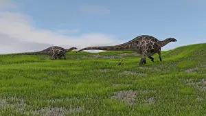 Diplodocid: Two Dicraeosaurus dinosaurs walking across a grassy field