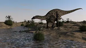 Riverbed: Dicraeosaurus grazing near a spring