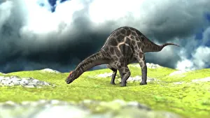 Dicraeosauridae: Dicraeosaurus grazing an open field