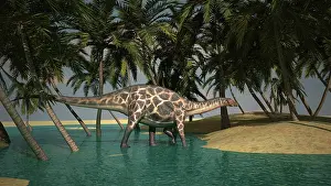 Dicraeosauridae: Dicraeosaurus grazing in a tropical climate
